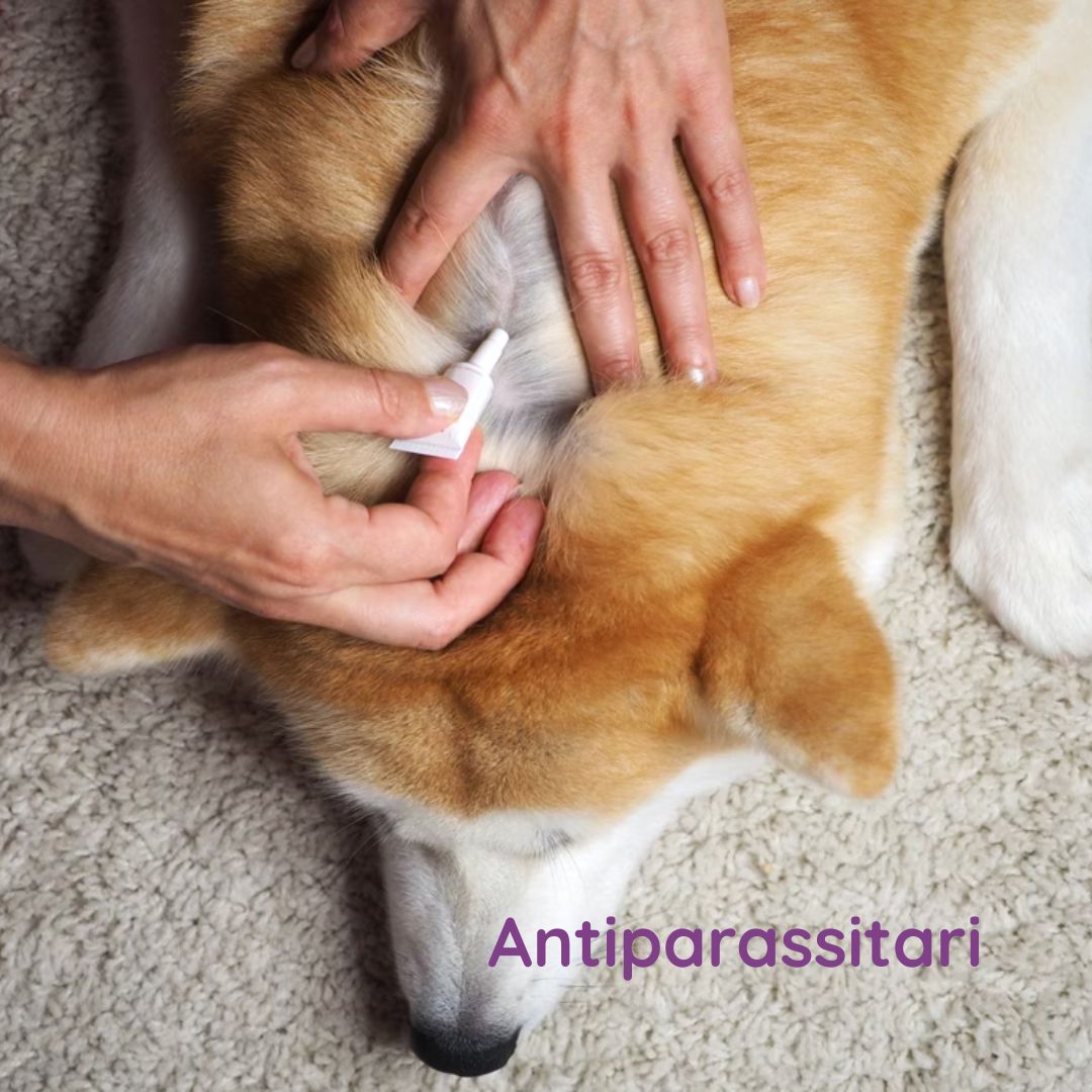 antiparassitari