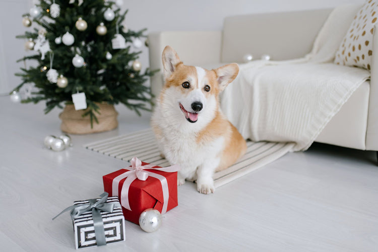Cane sotto l'albero di natale con i regali
