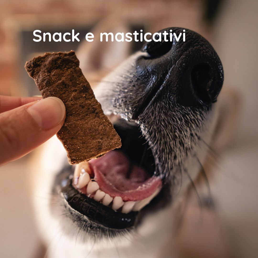 Snack e masticativi