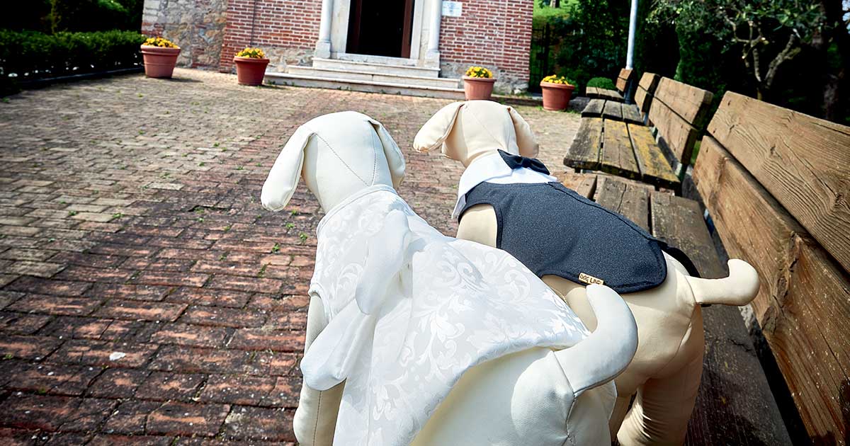 Abito per cani Grace - petsandthecity-9478abito da cerimonia