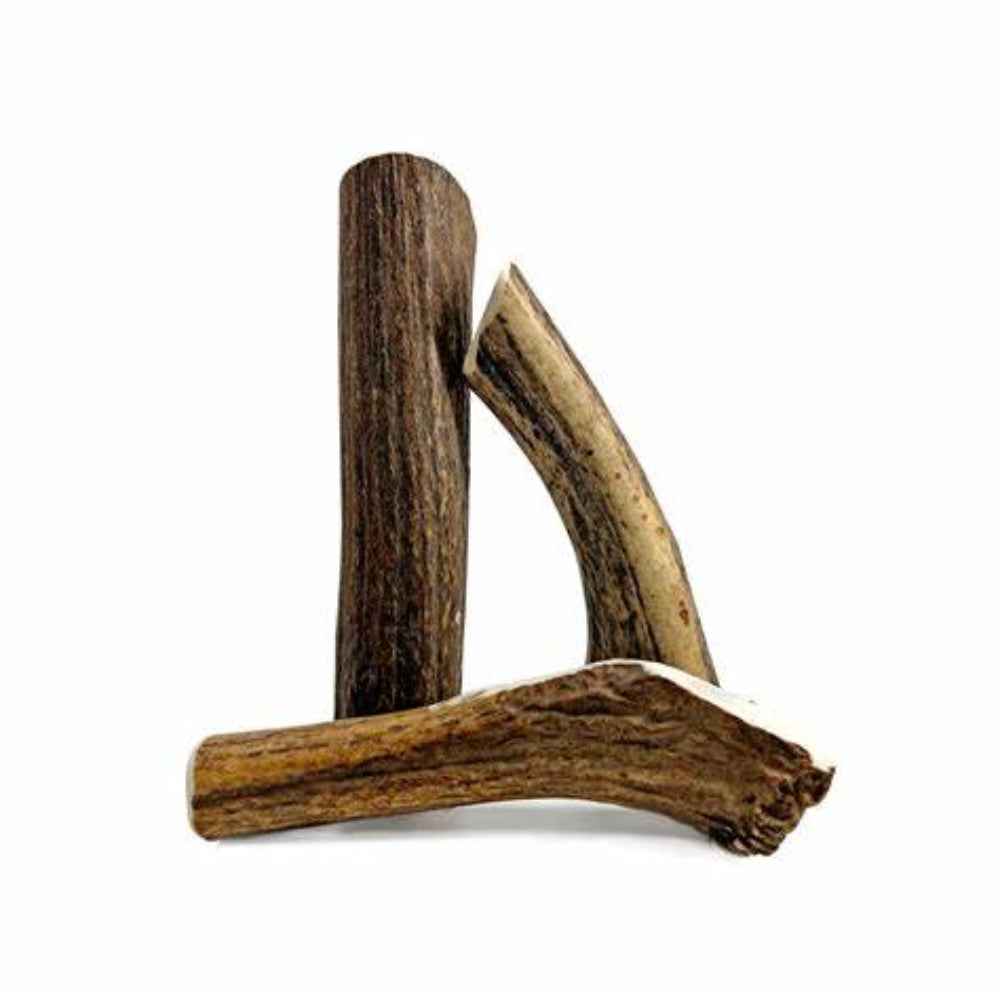 Corno di cervo per cani Record