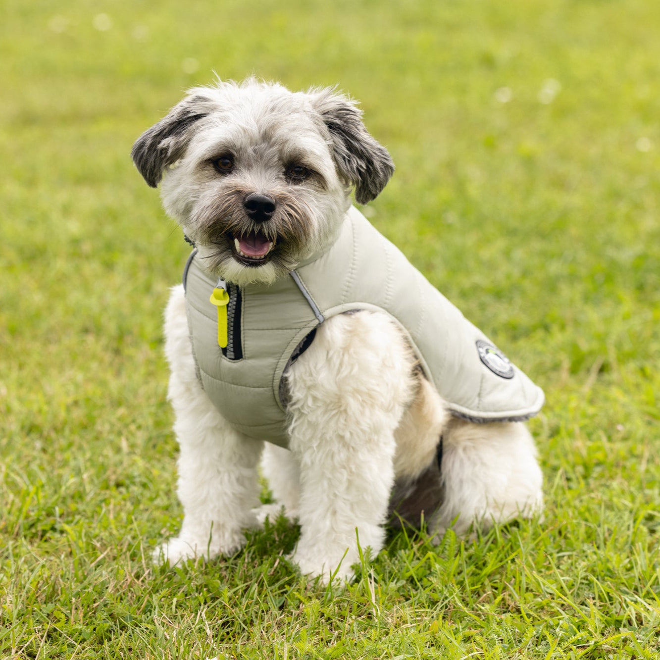 Giubbotto per cani Bobby Beeztees