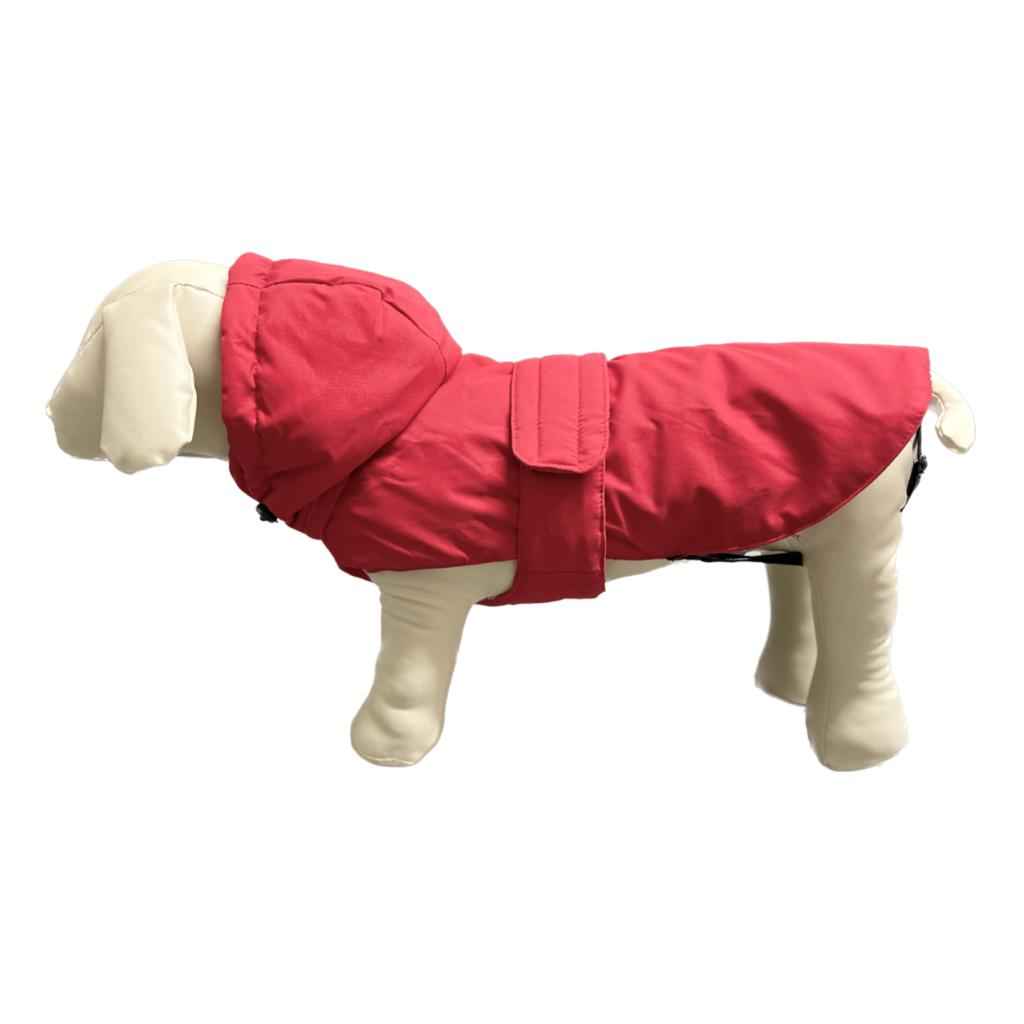 Giubbotto per cani Brumy Record