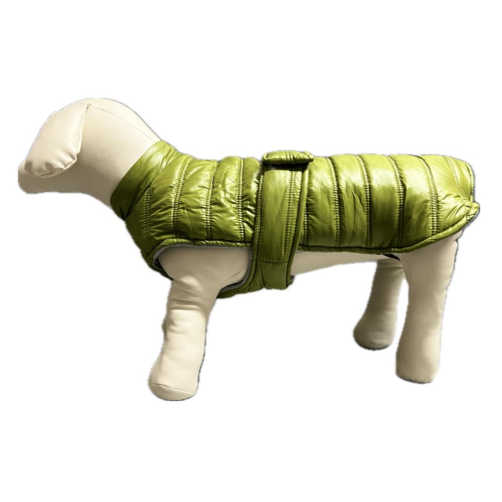 Giubbotto per cani Windy - petsandthecity-9478giubbotto