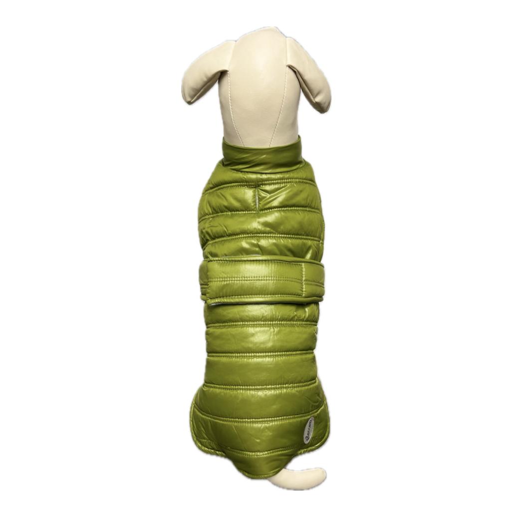 Giubbotto per cani Windy - petsandthecity-9478giubbotto
