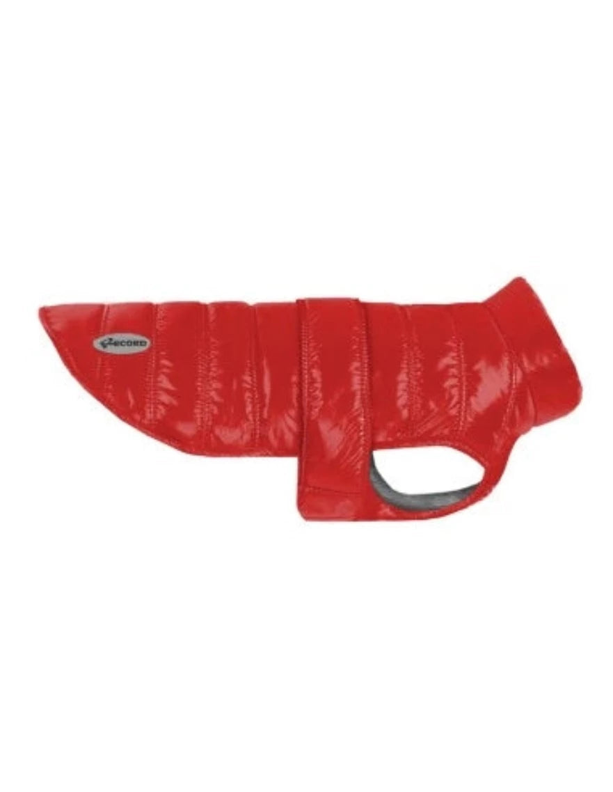 Giubbotto per cani Windy - petsandthecity-9478giubbotto