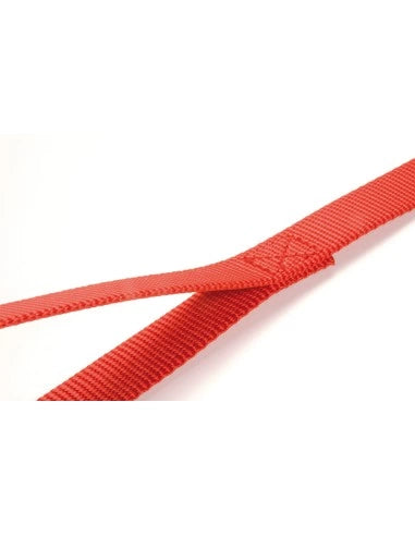Guinzaglio per cani in nylon X-Style Record - petsandthecity-9478guinzaglio