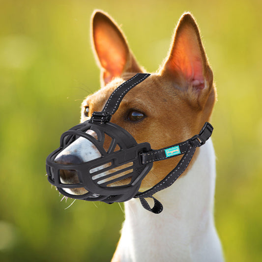 museruola per cani Ergo Plus indossata