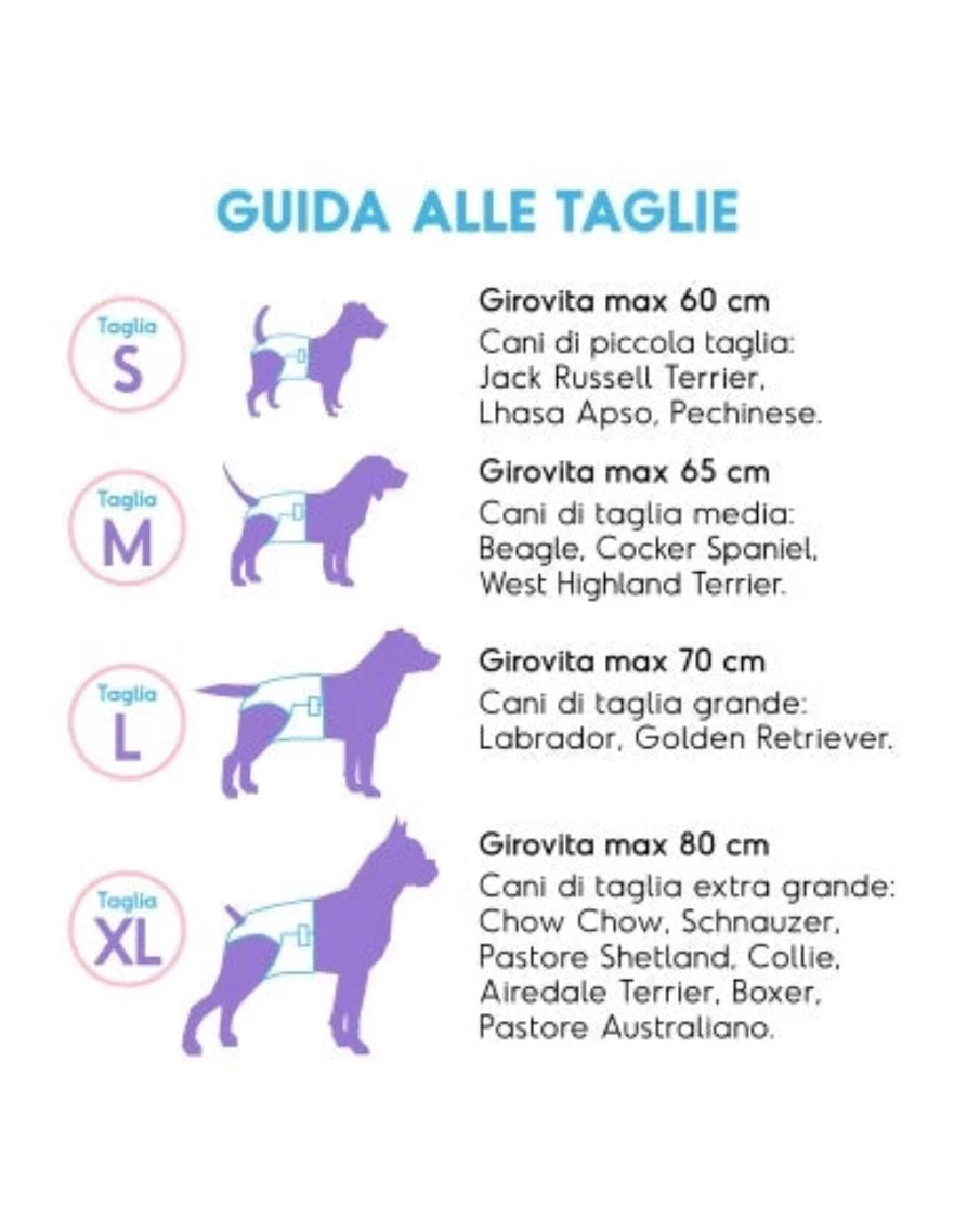 Pannolino assorbente per cani usa e getta con fascia elastica Record - petsandthecity-9478pannolino