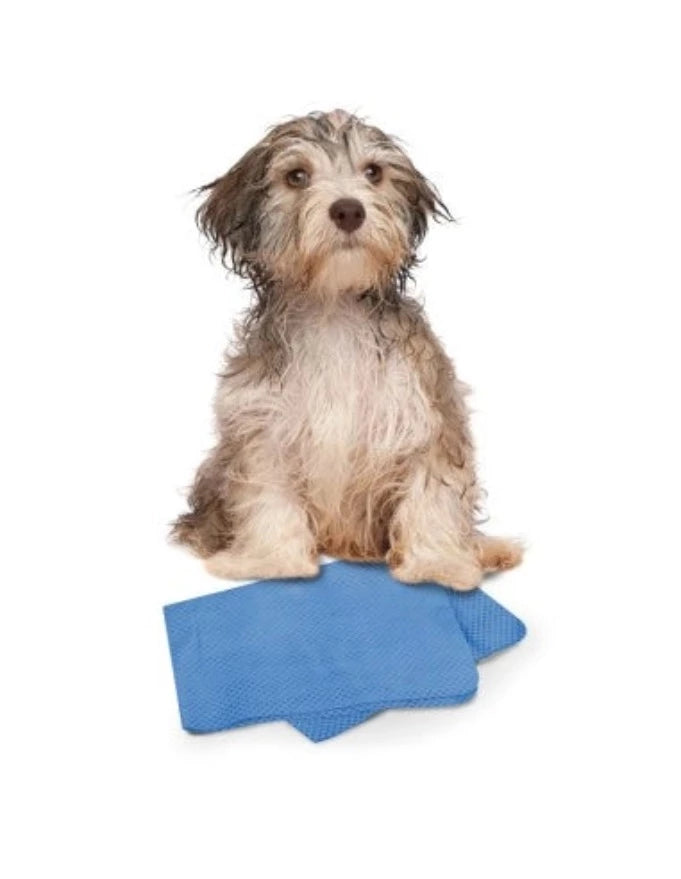 Panno multiuso per cane e gatto super assorbente Dry Dog - petsandthecity-9478panno assorbente