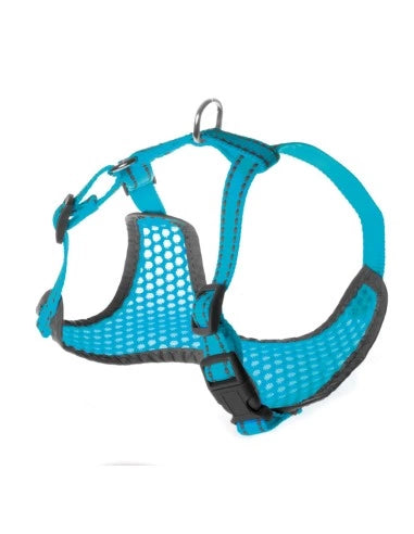 Pettorina per cani Fluo Record - petsandthecity-9478pettorina