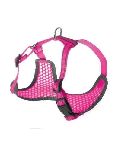Pettorina per cani Fluo Record