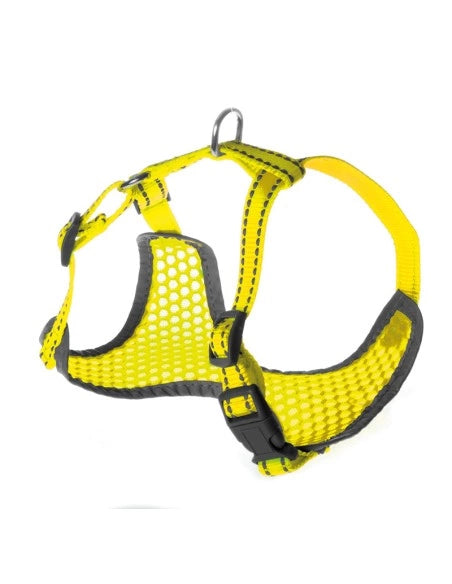 Pettorina per cani Fluo Record - petsandthecity-9478pettorina