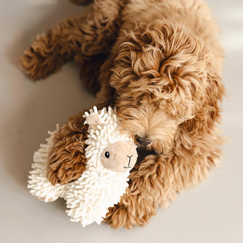 Gioco per cani eco friendly Beeztees