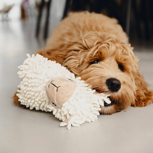 Gioco per cani eco friendly Beeztees