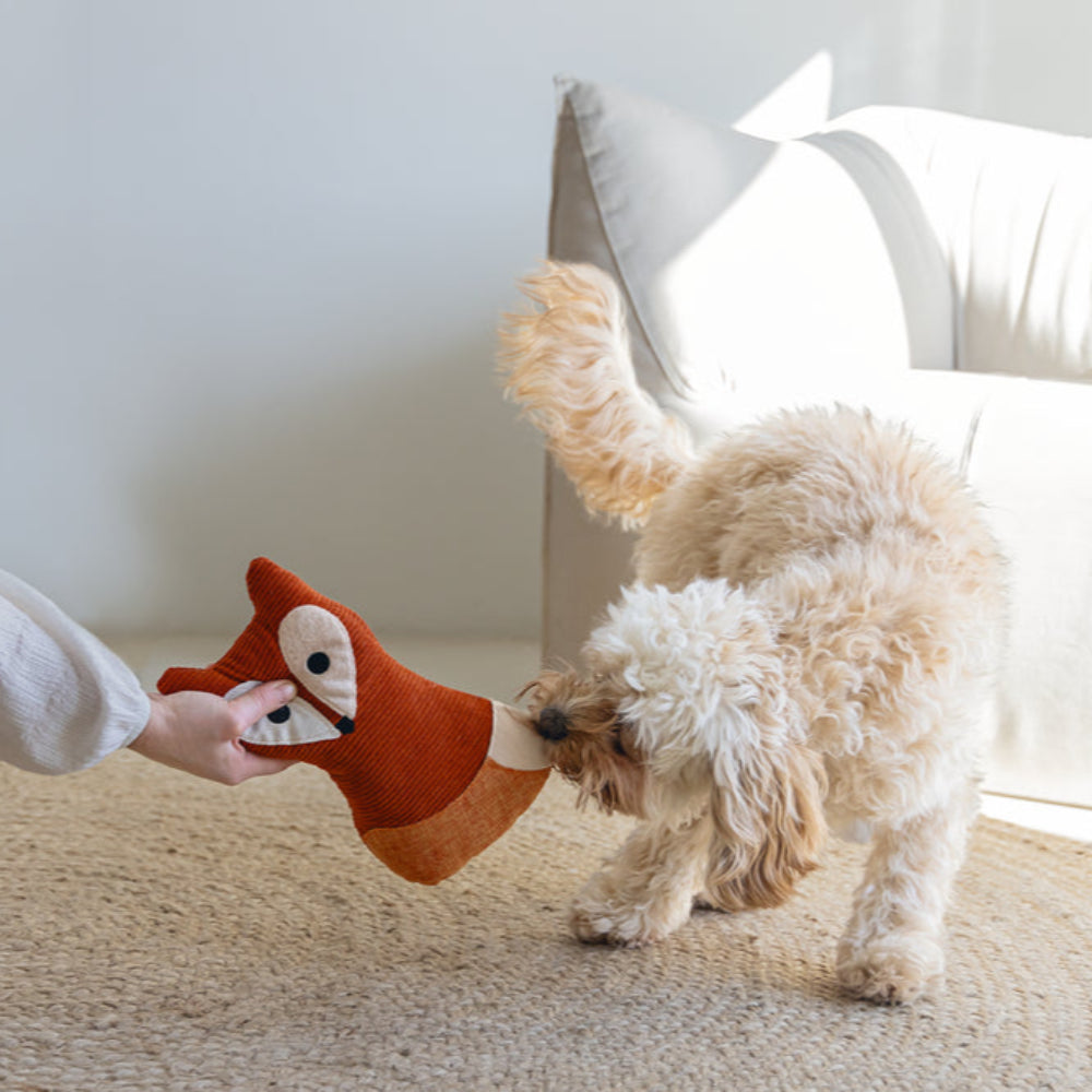 Peluche per Cani Designed By Lotte