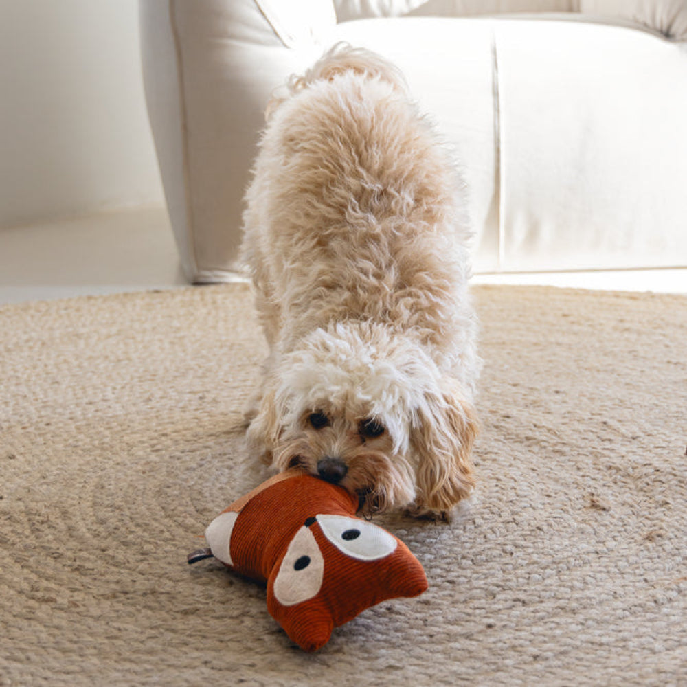 Peluche per Cani Designed By Lotte