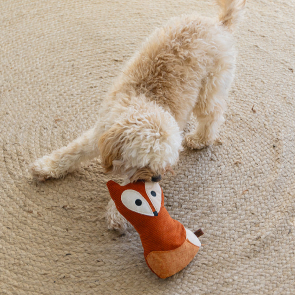 Peluche per Cani Designed By Lotte