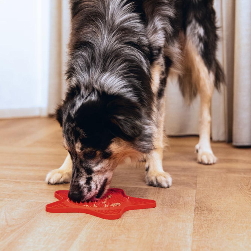 Lick-mat per cani Stella Beeztees