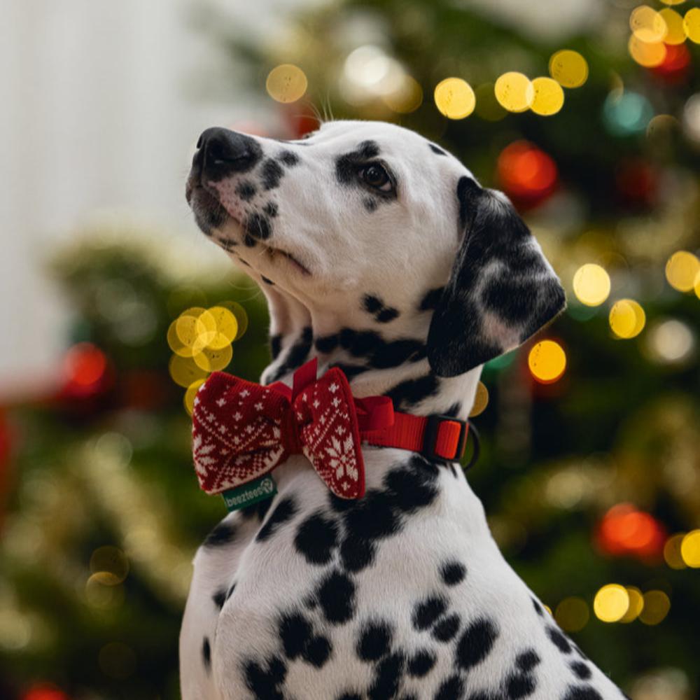 Papillon natalizio per cani - Christmas Bow Tie Beeztees