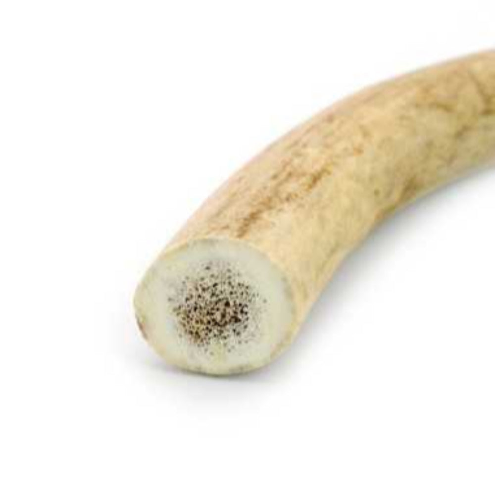 Corno di cervo per cani Record