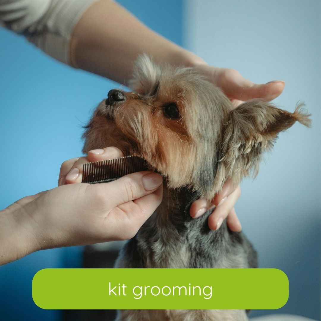 Kit Grooming