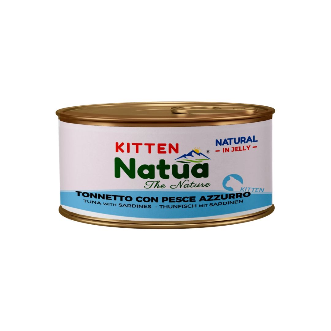 Cibo umido per gatti cuccioli Jelly Cat Kitten