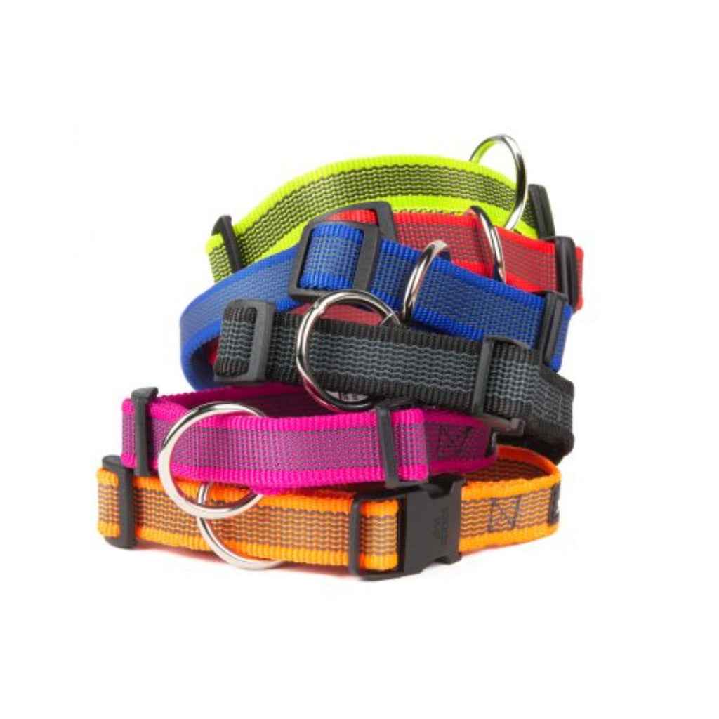 Collare per cani Color & Gray Julius-K9
