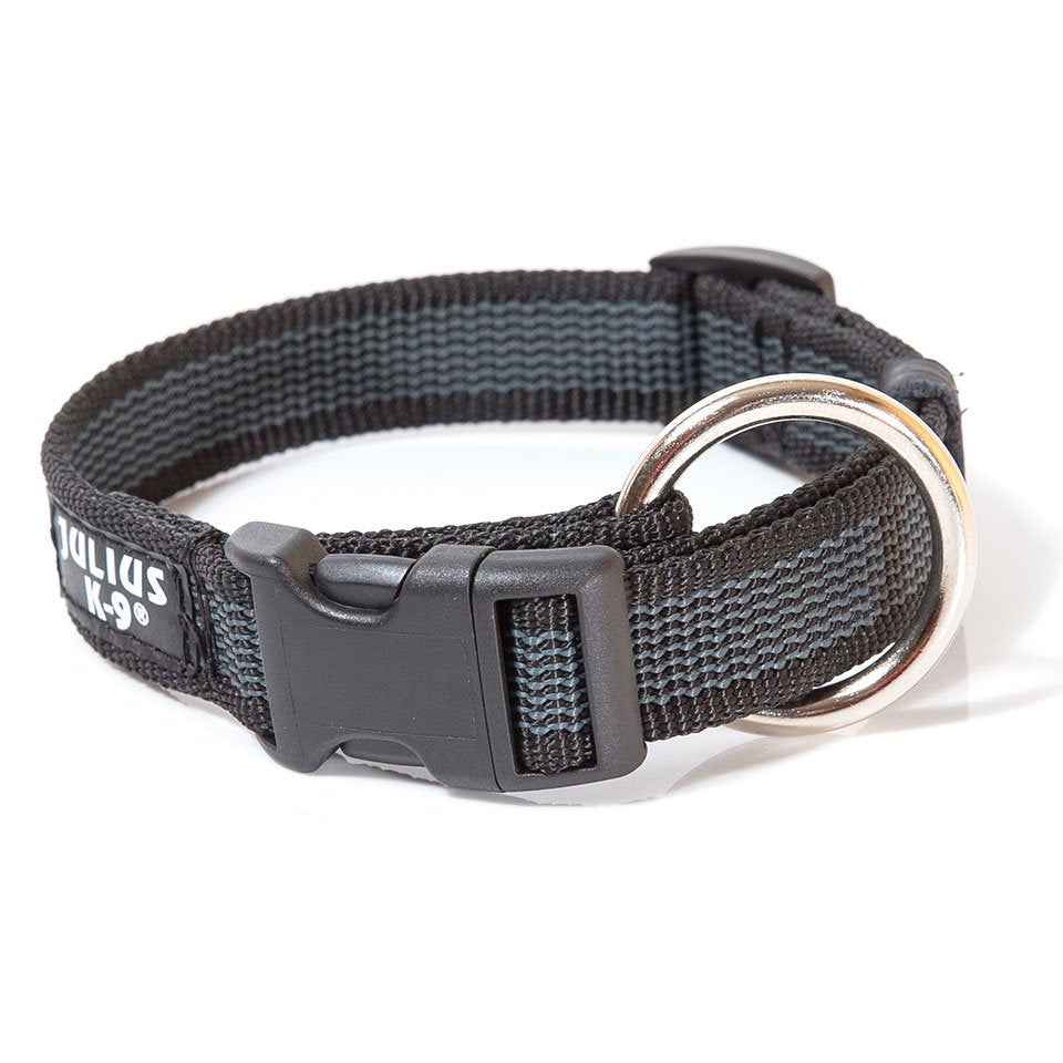 Collare per cani Color & Gray Julius-K9