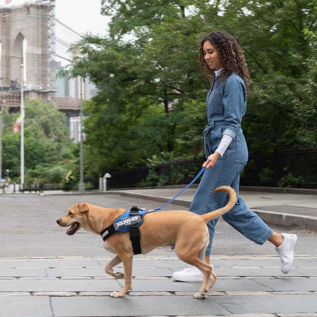 Pettorina per cani Julius-K9 IDC Powerharness® Dark Blue