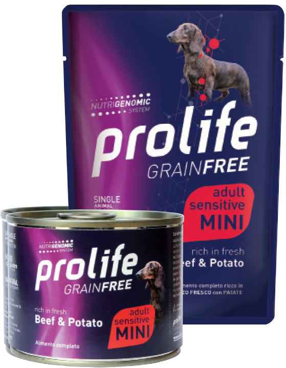 Cibo per cani umido Grainfree Adult Manzo e Patate