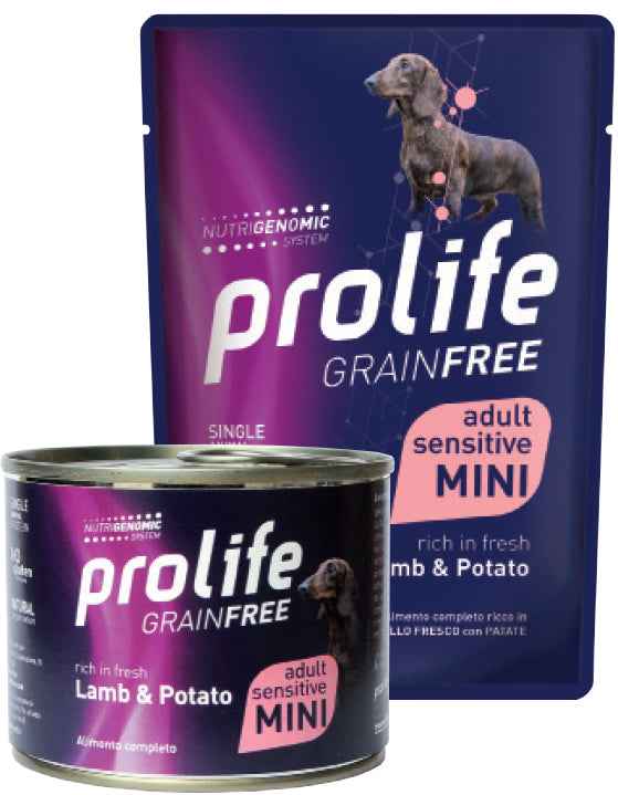 Cibo per cani umido Grain free Adult Agnello e patate