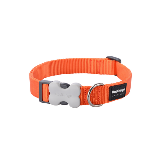 Collare per cani Classic Red-dingo - petsandthecity-9478collare