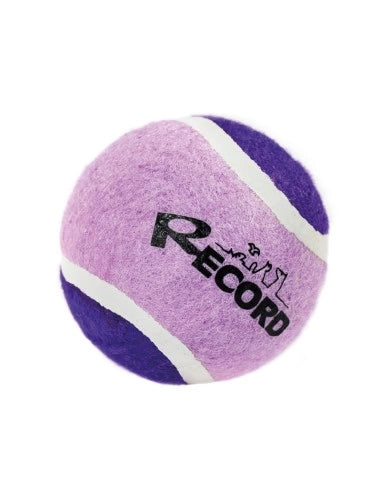 Gioco per cani Pallina da tennis Fun Record - petsandthecity-9478palla