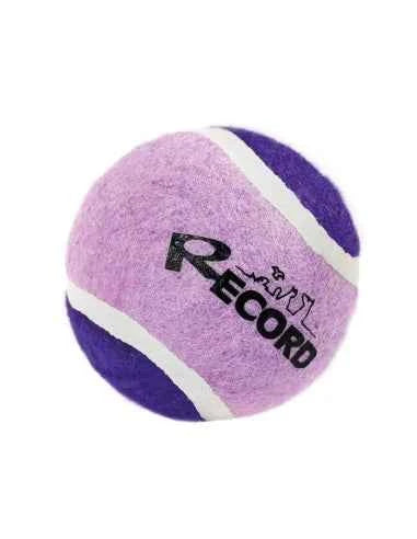 Gioco per cani Pallina da tennis Fun Record