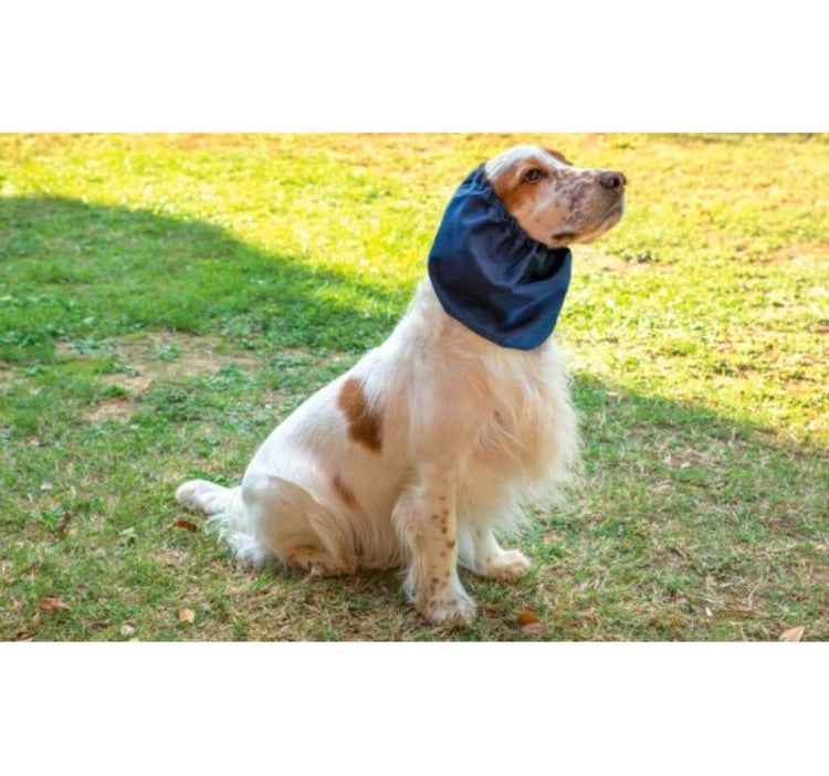 Paraorecchie per cani waterproof
