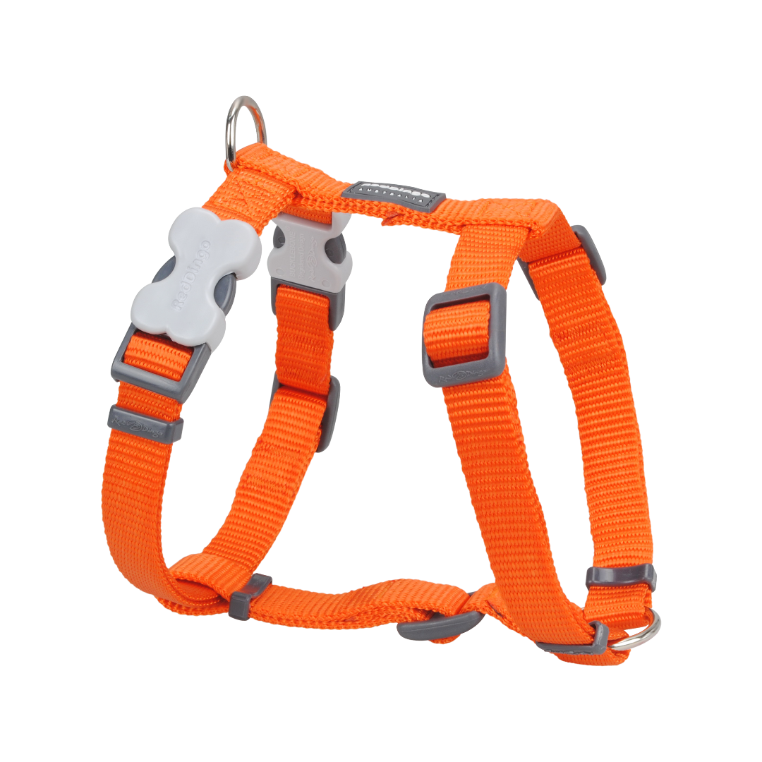 Pettorina per cani Classic Red-dingo