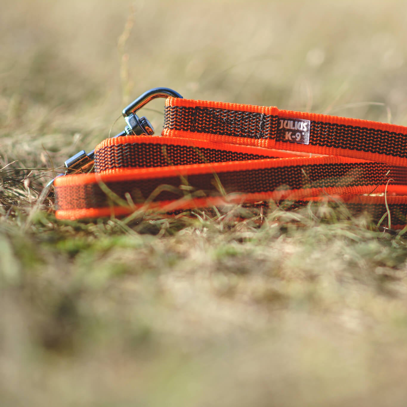Guinzaglio per cani Color & Gray Julius-K9