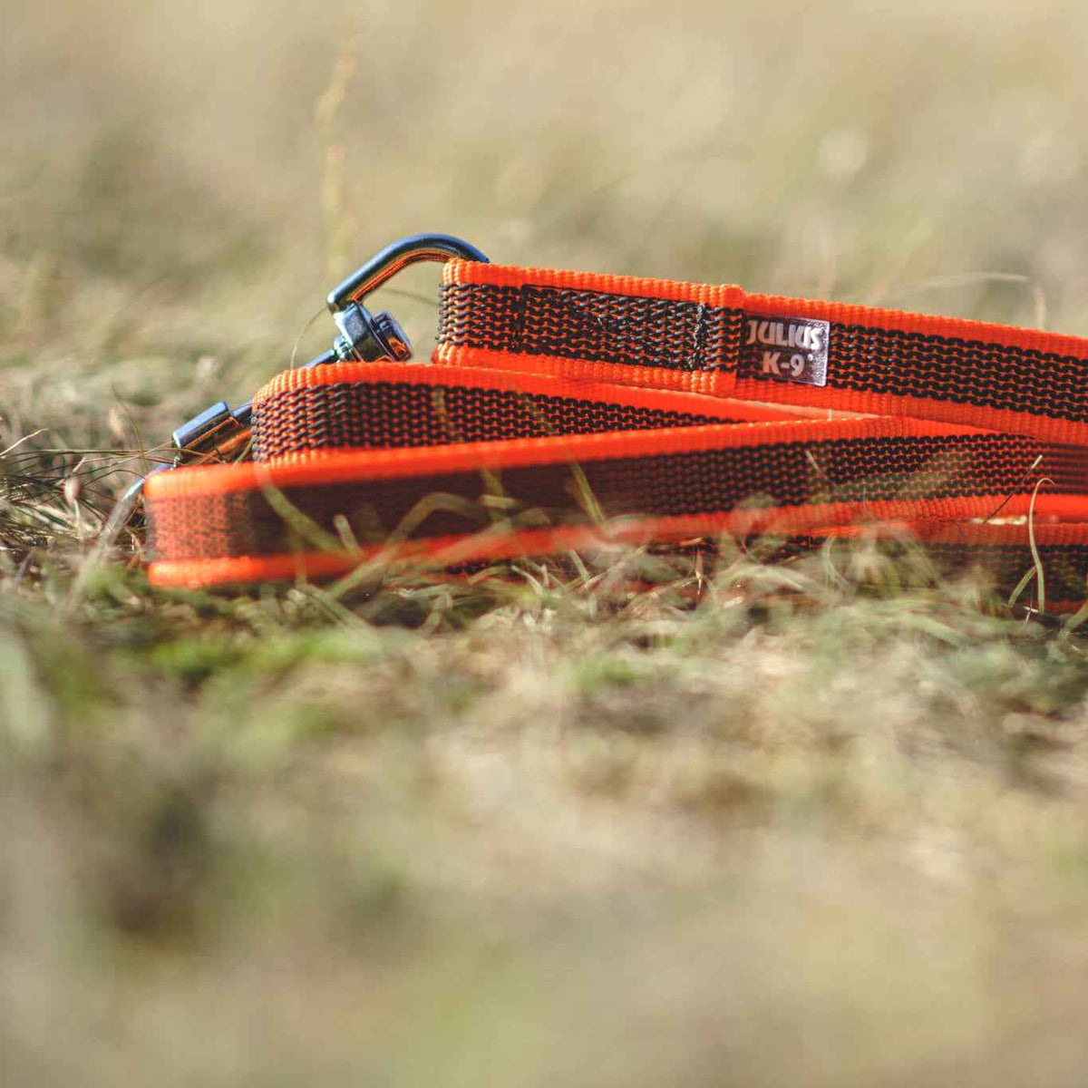 Guinzaglio per cani Color & Gray Julius-K9