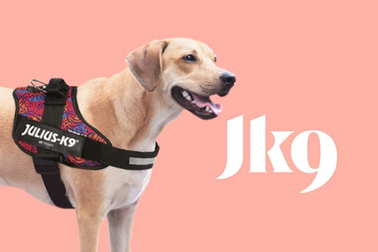 Julius-K9 IDC Power: La pettorina preferita dai cani attivi e dai loro proprietari