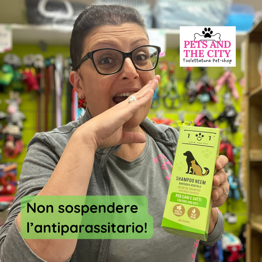 Non interrompere la protezione antiparassitaria del tuo cane: anche in autunno è fondamentale!