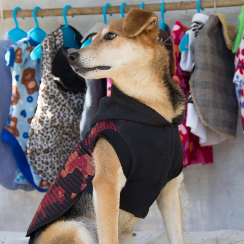 Abbigliamento per cani