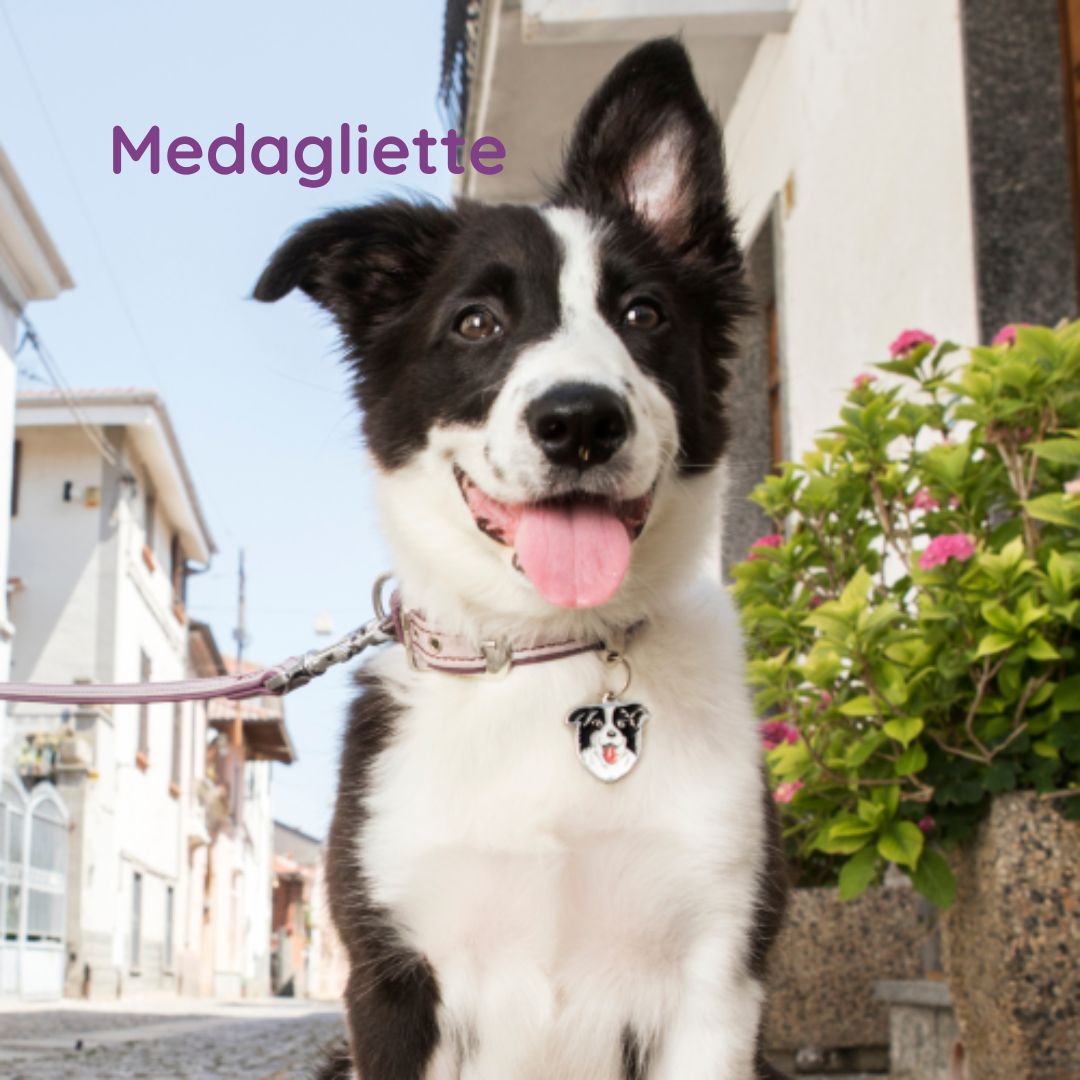 Medagliette identificative