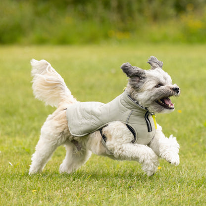 Giubbotto per cani Bobby