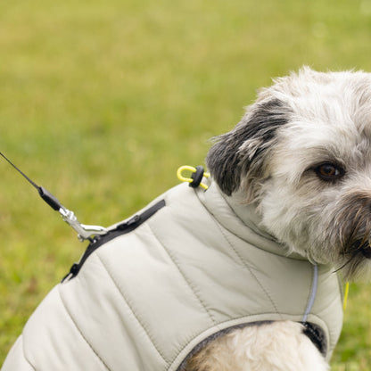 Giubbotto per cani Bobby