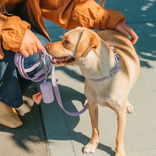 Walky kit Orus Pet Pro