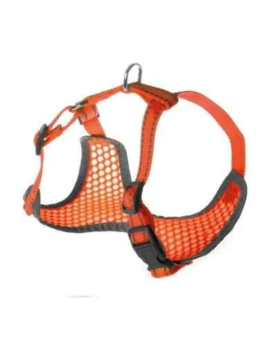 Pettorina per cani Fluo Record