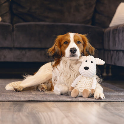 Gioco per cani eco friendly Beeztees