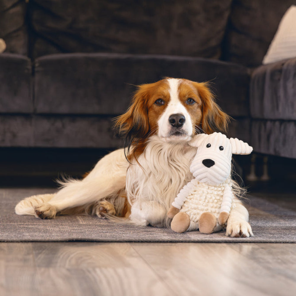 Gioco per cani eco friendly Flatino Beeztees