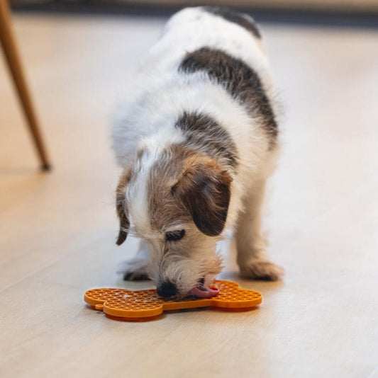 Lick-mat per cani Osso Beeztees